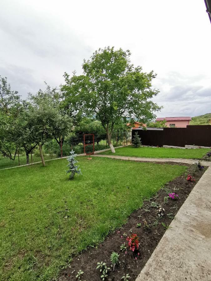 Bbs Residence Клуж-Напока Екстер'єр фото